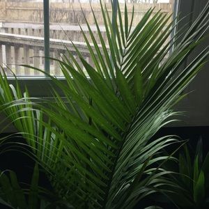 Meet your Posher, Karolina